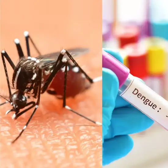 dengue rna, quantitative
